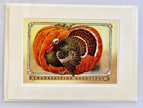 Thanksgiving Pumpkin Turkey Greetings Card