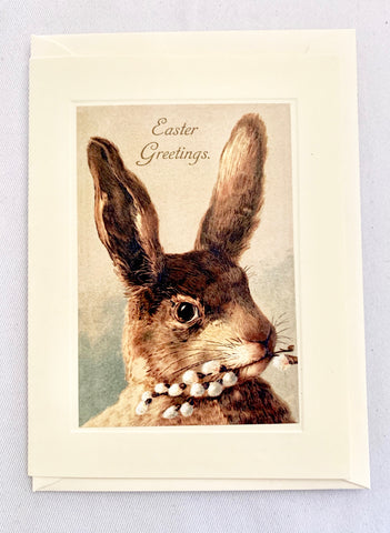Easter Cotton Tail Hare Greeting Card