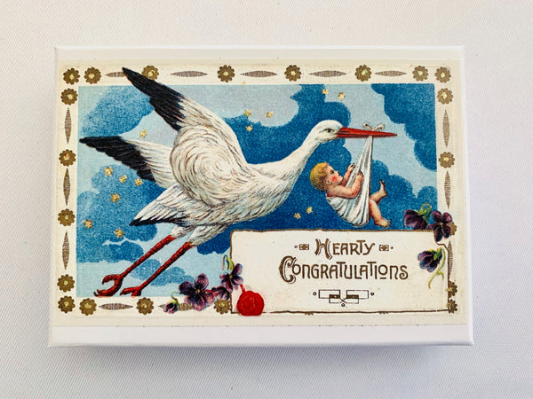 Baby Blue Stork Gift Box