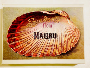 Summer Half Shell Souvenir From Malibu Gift Box