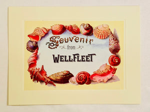 Summer Shell Frame Souvenir From Wellfleet Greeting Card