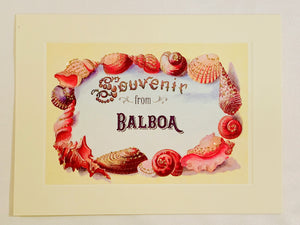 Summer Shell Frame Souvenir From Balboa Greeting Card