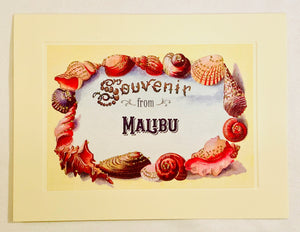 Summer Shell Frame Souvenir From Malibu Greeting Card