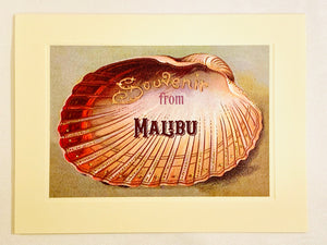 Summer Half Shell Souvenir From Malibu Greeting Card
