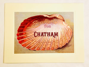 Summer Half Shell Souvenir From Chatham Greeting Card