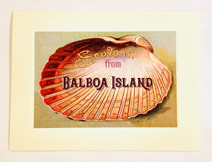 Summer Half Shell Souvenir From Balboa Island Greeting Card