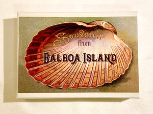 Summer Half Shell Souvenir From Balboa Island Gift Box